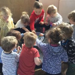 montessori 2